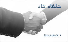 حلفائنا